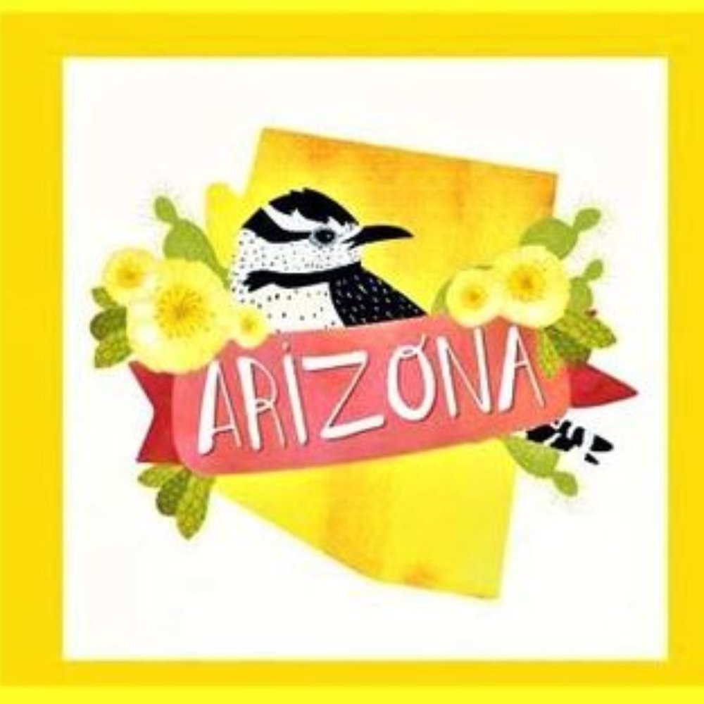 Arizona 100% Cotton Fabric Wall or Quilt Panel